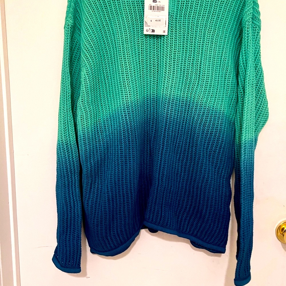 Zara Gradient Blue and Green Crew Neck Sweater